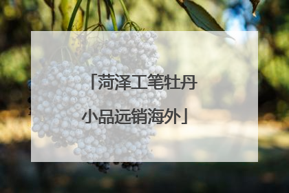 菏泽工笔牡丹小品远销海外