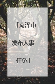 菏泽市发布人事任免