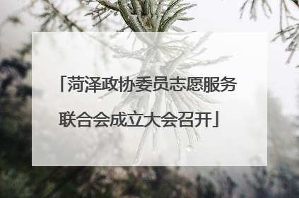 菏泽政协委员志愿服务联合会成立大会召开
