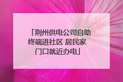 荆州供电公司自助终端进社区 居民家门口就近办电