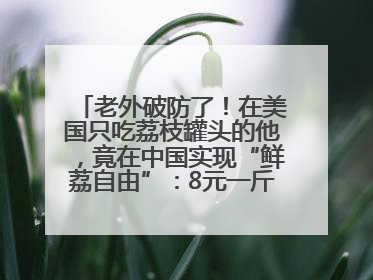 老外破防了！在美国只吃荔枝罐头的他，竟在中国实现“鲜荔自由”：8元一斤敞开吃！