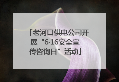 老河口供电公司开展“6·16安全宣传咨询日”活动