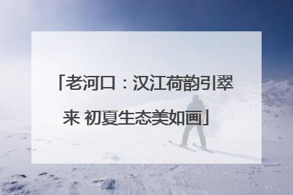 老河口：汉江荷韵引翠来 初夏生态美如画