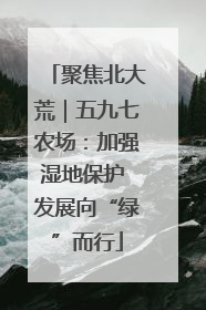 聚焦北大荒｜五九七农场：加强湿地保护 发展向“绿”而行