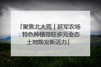 聚焦北大荒｜延军农场：特色种植带旺多元业态 土地焕发新活力