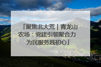 聚焦北大荒｜青龙山农场：党建引领聚合力 为民服务践初心