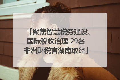 聚焦智慧税务建设、国际税收治理 29名非洲财税官湖南取经