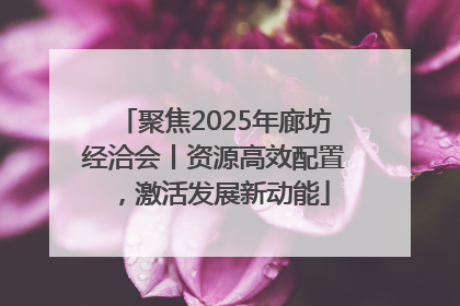 聚焦2025年廊坊经洽会丨资源高效配置，激活发展新动能