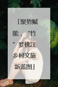 聚势赋能，“竹”梦桃江乡村文旅新蓝图