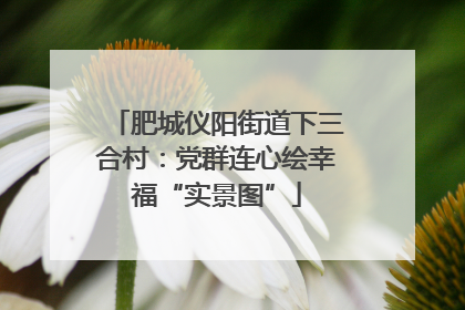肥城仪阳街道下三合村：党群连心绘幸福“实景图”