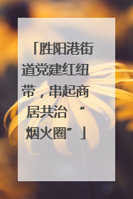 胜阳港街道党建红纽带，串起商居共治 “烟火圈”