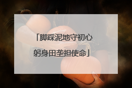 脚踩泥地守初心 躬身田垄担使命