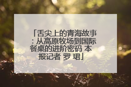 舌尖上的青海故事：从高原牧场到国际餐桌的进阶密码 本报记者 罗 珺
