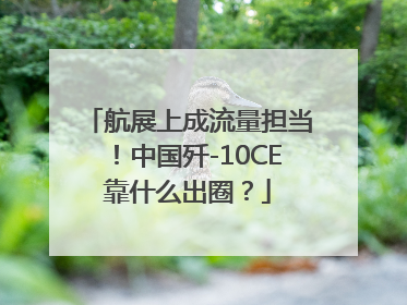 航展上成流量担当！中国歼-10CE靠什么出圈？