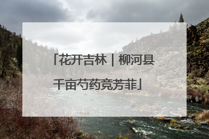 花开吉林｜柳河县千亩芍药竞芳菲