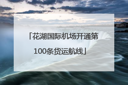 花湖国际机场开通第100条货运航线