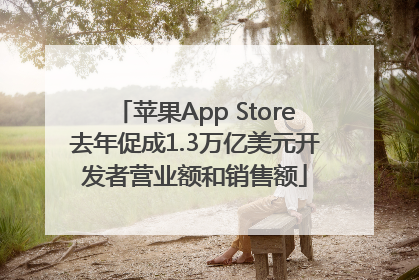 苹果App Store去年促成1.3万亿美元开发者营业额和销售额