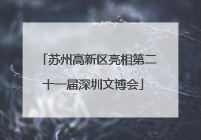 苏州高新区亮相第二十一届深圳文博会