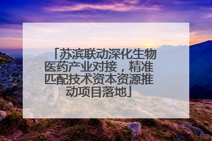 苏滨联动深化生物医药产业对接，精准匹配技术资本资源推动项目落地