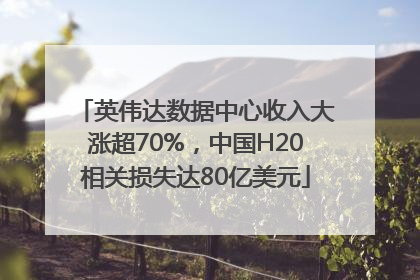 英伟达数据中心收入大涨超70%，中国H20相关损失达80亿美元