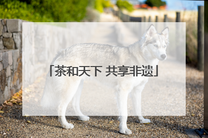 茶和天下 共享非遗