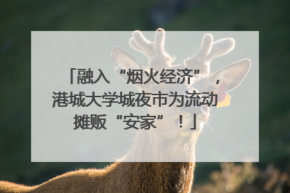 融入“烟火经济”，港城大学城夜市为流动摊贩“安家”！
