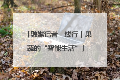 融媒记者一线行｜果蔬的“智能生活”