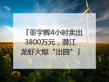 董宇辉4小时卖出3800万元，潜江龙虾火爆“出圈”