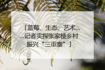 蓝莓、生态、艺术……记者实探张家楼乡村振兴“三重奏”