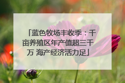 蓝色牧场丰收季：千亩养殖区年产值超三千万 海产经济活力足