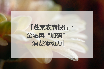 蓬莱农商银行：金融再“加码” 消费添动力