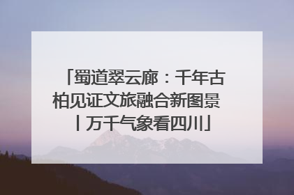 蜀道翠云廊：千年古柏见证文旅融合新图景丨万千气象看四川