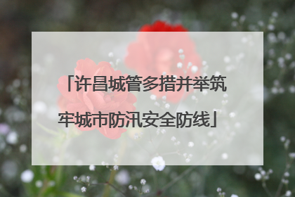 许昌城管多措并举筑牢城市防汛安全防线