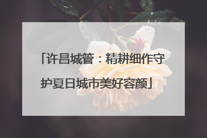 许昌城管：精耕细作守护夏日城市美好容颜