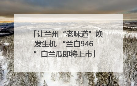 让兰州“老味道”焕发生机 “兰白946”白兰瓜即将上市