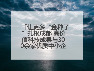 让更多“金种子”扎根成都 高价值科技成果与300余家优质中小企业精准对接