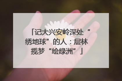 记大兴安岭深处“绣地球”的人：层林揽梦“绘绿洲”