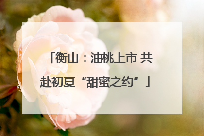 衡山：油桃上市 共赴初夏“甜蜜之约”