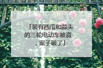 装有西瓜和蒜头的三轮电动车被盗，案子破了
