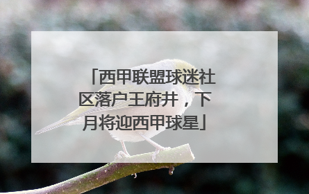 西甲联盟球迷社区落户王府井，下月将迎西甲球星