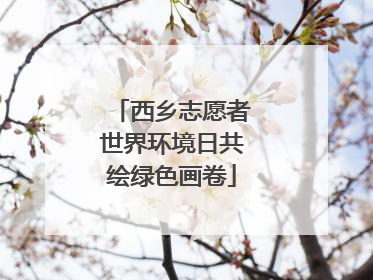 西乡志愿者世界环境日共绘绿色画卷