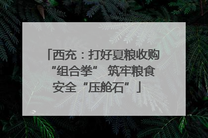 西充：打好夏粮收购“组合拳” 筑牢粮食安全“压舱石”
