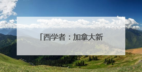 西学者：加拿大新政带给欧洲的启示