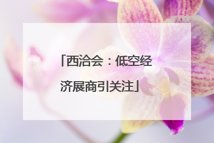 西洽会：低空经济展商引关注