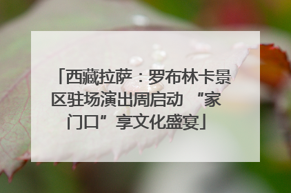 西藏拉萨：罗布林卡景区驻场演出周启动 “家门口”享文化盛宴