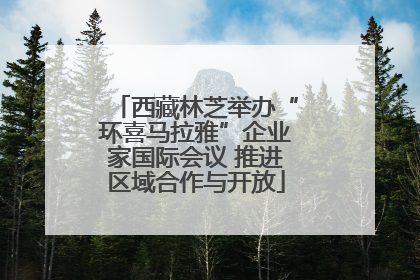 西藏林芝举办“环喜马拉雅”企业家国际会议 推进区域合作与开放