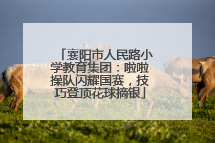 襄阳市人民路小学教育集团：啦啦操队闪耀国赛，技巧登顶花球摘银