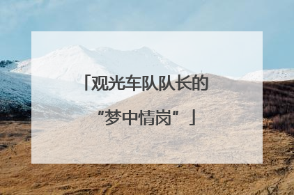 观光车队队长的“梦中情岗”