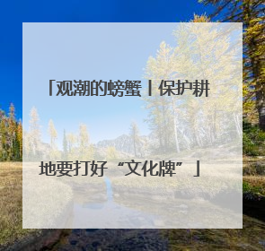 观潮的螃蟹丨保护耕地要打好“文化牌”