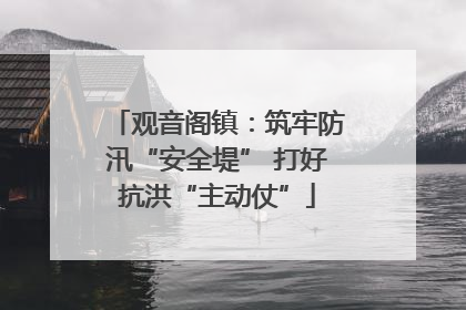 观音阁镇：筑牢防汛“安全堤” 打好抗洪“主动仗”